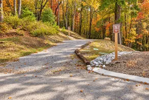 Bluebird Cottage | Near Downtown | Walking Trails! - Image 5