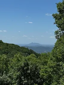 Archers Perch-Incredible Views on the Blue Ridge! - Image 5