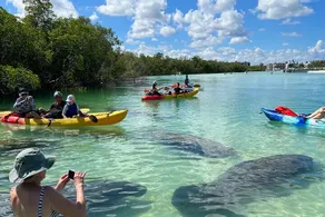 1/1 Relaxing Retreat in Sunny Bonita Springs - Image 4