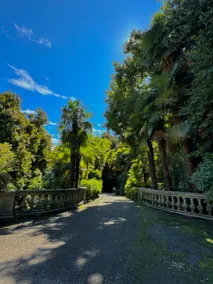 Lake VIEW! with Park, WiFi and Private Parking! - Image 3