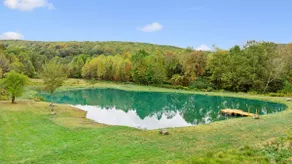 Sleeps 20, Seven Springs, 6 Bedroom, Pond, FirePit - Image 5