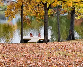 Ozran Cottage - a mid-century Lakefront getaway - Image 5