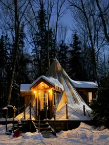 Wooden forest teepee in maple grove #5 - Image 2