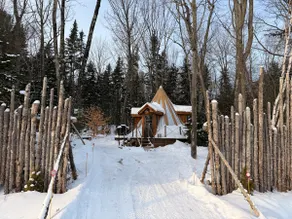 Wooden forest teepee in maple grove #5 - Image 3
