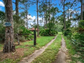 Peaceful Country Rest - Image 4