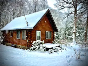 Cozy Cabin | 15 Min to Ski & Ohiopyle Trails - Image 3
