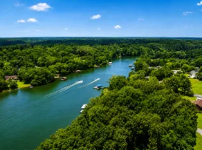Dragonfly Cove - Image 5