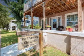 The Charming Chestnut - Image 3