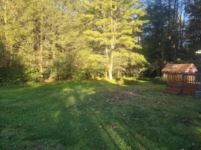 Bald Eagle Bungalow - Image 4