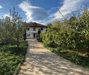 Vila Curri - Image 2