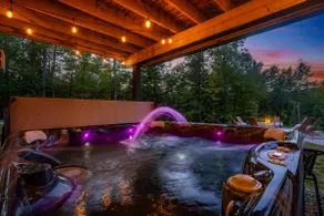 Nature Retreat, Sauna, Hot Tub, Gameroom, Fire Pit - Image 3