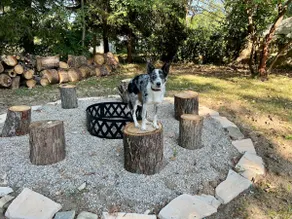 Arcade Getaway • Fenced Yard • Pets/Kids Welcome - Image 4