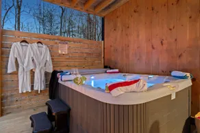 Cozy Romantic Cabin | Sauna Hot Tub & Scenic Views - Image 3