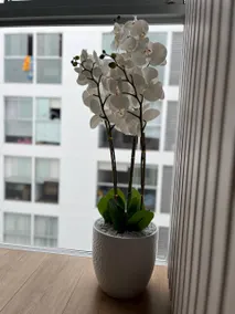 Full apartment minutes from Miraflores - Image 5