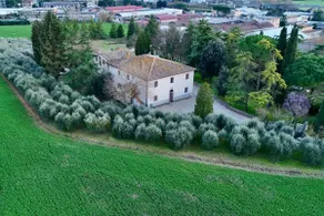 Podere da Mario: Olive Trees, Cypresses, and Peace in Chianti - Image 3