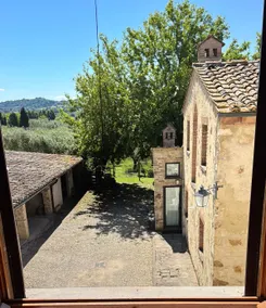 Podere da Mario: Olive Trees, Cypresses, and Peace in Chianti - Image 5