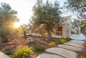 Salento residence with 1 bedroom, pool, and olive grove - Image 3