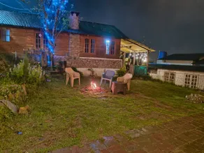 Apple tree - Image 5
