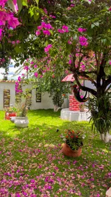 Country House with Pool – Chácara Santo Expedito - Image 3