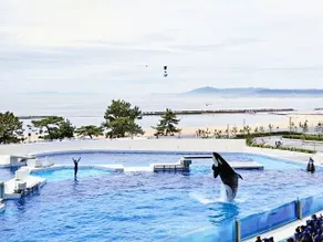 Kobe Suma Beach Cottage/sta. 5 min walk/Max 5 - Image 3