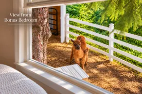 Simple Farmhouse Stay on a Peaceful Estate - Image 4