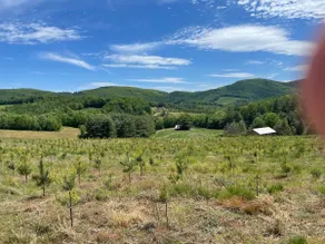 Blueberry Inn in Beautiful Blue Ridge Mountains - Image 4