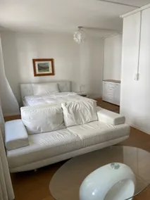 01E - Furnished apartment in the heart of Biel - Image 3