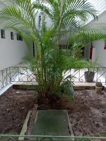 João Pessoa Seasonal Apartment, Near South Beaches - Image 4