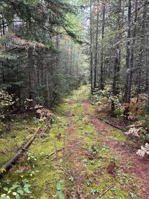 The rustic, cottage in nature - Image 5