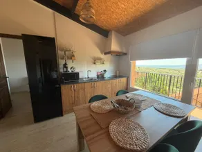 Atempo Berzosa, Atempo Berzosa Olivo - Image 2
