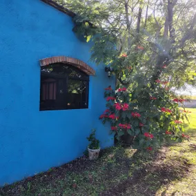 Casa Flora - Image 5