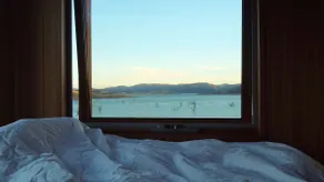Lake Eildon Retreat - Pool + Lake Views + Cinema - Image 5