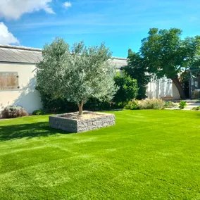 Recharge your batteries in an equestrian estate - Image 3