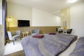 Apt • Free parking • Terrace • Refreshments - Image 4