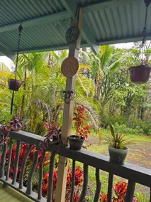Bungalow in the Jungle-0 - Image 4