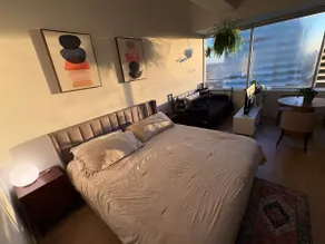 Top-Floor Boho Studio Heated Parking Skyline Views - Image 4