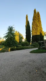 L'île d'O Room - Image 2