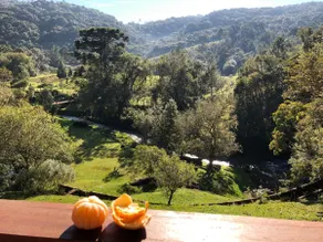 João de barro cabin - Image 4