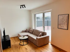 Superior apartment - UNO City & Kaiserwasser - Image 3
