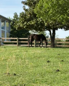 Peaceful Retreat - Image 3