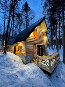 The Owl, warm and peaceful - Image 2