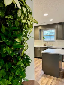 Clean & Modern, 8 Min to AVL, Hot tub - Image 2