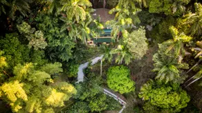Jungle Studio+AC+Hotel Pool/Bar+WIFI@Costa Rica - Image 5