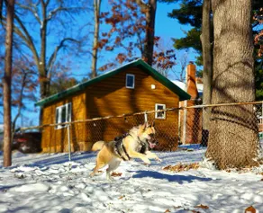 Fireside Cabin 8 | Baraboo • Dells Cabin | Pets OK - Image 5