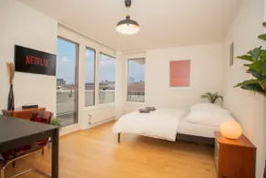 Penthouse in Basel Center with free BaselCard - Image 4