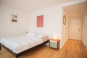 Penthouse in Basel Center with free BaselCard - Image 2