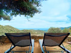 Rogliano (Cape Corsica) House in the scrubland - Image 4