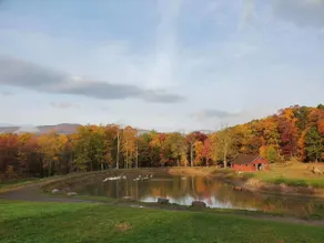 Pet Friendly Guest Suite - Catskills - Image 4