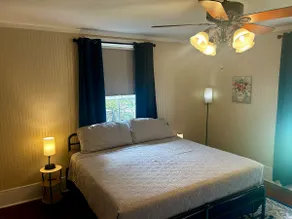 Historic downtown apartment A 1892 with hot tub - Image 4