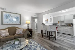 Modern Garden 1BR | Laundry + Pets OK | Quiet - Image 2